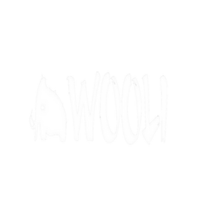 Wooli Merch
